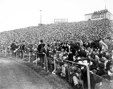 Football Section of the huge 82,000 crowd at Stamford Bridge Old Photo 1 picture