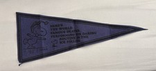 ( RARE ) VTG 1960s Snoopy Purple Felt Banner : World Famous Skater : READ  picture