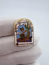 ARC American Red Cross Kleberg-Kenedy Counties TX Chapter Pin - Flaws picture
