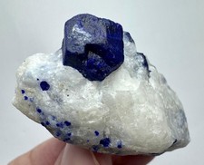 62 G-Top Quality Natural Lazurite Crystal on Matrix - Terminated Specimen - AFG picture