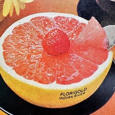 1974 Floigold Grapefruit Florida Indian River Vintage Print Ad Fruit Food Advert picture