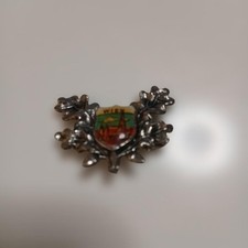 Austria Wien Pin Badge Vintage picture