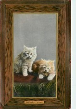 Tuck Kittendom Postcard 5879. Orange & White Tabby Kittens We are Twins Vignette picture