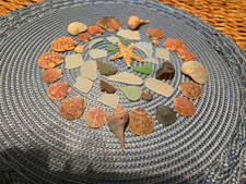 Mixed Seashell & Sea Glass Lot w/ Scallop Shells and Starfish picture