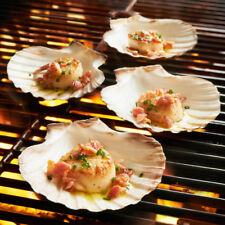King Scallop Grilling Shells Set of 4, Irish Baking Shells Beach Wedding Party picture