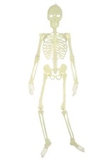 5' Glow in the Dark Skeleton Prop picture