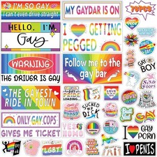 76 PCS  Funny Gay Prank Bumper Stickers, Funny LGBT Gay Stickers for Ca picture