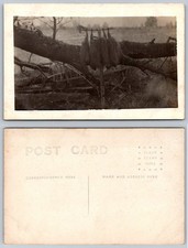 RPPC Vintage Trapper Hunter Fur Pelts AZO Real Photo Postcard c1910s picture