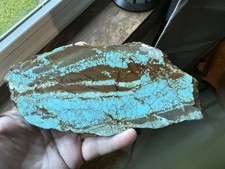 number 8 turquoise Gorgeous Big Slab Stabilized #8 picture