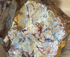 Gem Grade Dead Camel Jasper Rough Brecciated 7.14LBS RARE picture