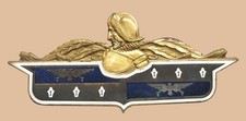 1941-1942 DeSoto Automobile Trunk Lid Emblem picture