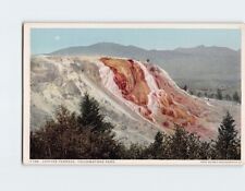 Postcard Jupiter Terrace, Yellowstone Park, Mammoth, Wyoming picture