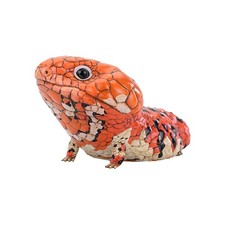 Animal Heavenly Body Goldfields Shingleback Skink Statue Tiliqua rugosa rugosa picture