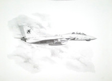 F-14 Tomcat Original 