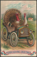 1908 Thanksgiving Turkeys Drive Car Automobile Holiday Embossed Postcard picture
