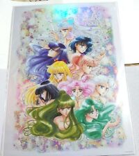 Pretty Guardian Sailor Moon Raisonne Launch Exhibition A3 Aurora Poster Type C picture