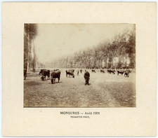 France, Monsures, au pré, August 1901 Vintage albumen print.Gaston de Landreville  picture