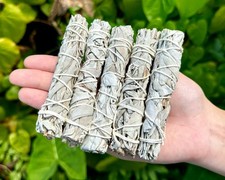 5 Thin White Sage Smudge Sticks 4