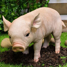 Large Adorable Realistic Animal Farm Babe Pig Piglet Statue 15