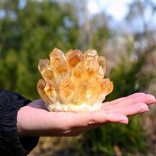 300g Natural Citrine Quartz Geode Phantom Cluster Specimen Ornament Decoration picture