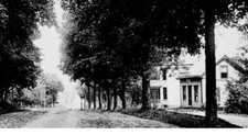 RPPC Low Angle View Dirt Road Foreboding Tree Lined Tire Swing Old Homes -A78 picture