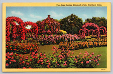 c1940s Elizabeth Park Rose Garden Hartford Conn Postcard picture