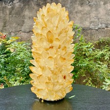 27.9LB  Premium New Discovery Big Citrine Cluster Healing Mineral Specimen Colle picture