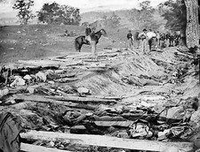 Battle of Antietam - Confederate Dead Sunken (Bloody) Lane 8x10 Civil War Photo picture