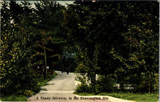 Postcard A Shady Driveway In The Shawangunk Mountains 1910 picture