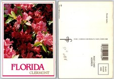 Continental Clermont Florida Azaleas Flowers Postcard picture
