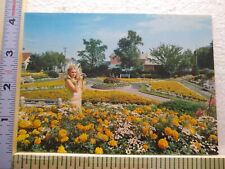 Postcard Sunken Gardens of Hillcrest Park Thunder Bay Ontario Canada picture
