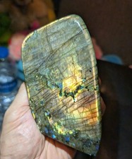 RARE Donald Trump Silhouette Labradorite 832g High Flash Fully Polished Freeform picture