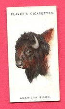 1931 JOHN PLAYER WILD ANIMALS' HEADS TOBACCO CARD #7 AMERICAN BUFFALO picture