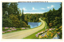 Vintage Postcard 1930-1945 Greetings from Sanbornville, New Hampshire *(NH) picture