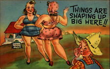 Farmer boy sexy girls 1940s swimsuits~ pun comic~Things Are Shaping Up Big Here picture