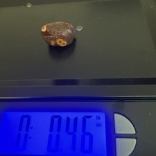 Lake Superior Agate Darkie picture