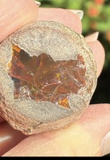 127 Ethiopian Opal Rough Loose Specimen Nodule Loose picture