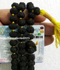 RARE Black 7 Mukhi Rudraksha Mala Seven Face Rudraksh Rosary Java Bead Certified picture