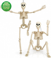 2 Pack 36.5 Inch Posable Skeleton Full Body Realistic Human Bones Yard Decor picture