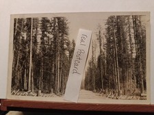 RPPC. Us-95 North And South Highway Bonners Ferry, Idaho 1926 (P13) picture