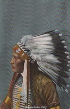 POSTCARD NATIVE AMERICANA YAKIMA INDIAN CHIEF - 1914 picture