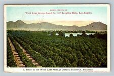 Los Angeles California, WOOD LAKE ORANGE LAND CO. c1908 Vintage Postcard picture