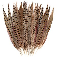 20pcs Male Pheasant Feather Natural Ringneck Tails Feathers 6-8inch 15-20cm f... picture