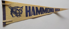 Vintage Hammond High 'Wildcats' Indiana high school felt 24'' pennant picture