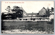 1907 Avery Beach Hotel South Haven Michigan MI Divided Vintage Postcard picture