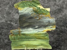 Beautiful Larsonite(Gary Green, Freedom) Jasper Bogwood Slab, lot#977 picture