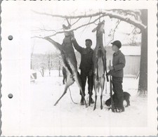1940s Rural Winter Deer Hunt Photograph Two Hunters, Dog & Rifle in Snow picture