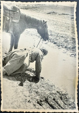 Antique Antique Photo WWI Eastern Front Ukrainian Cavalry Soldier & Horse picture