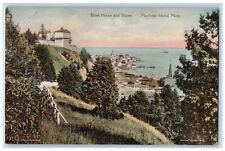 1917 Block House Slopes Cliff Cottages Mackinac Island Michigan Vintage Postcard picture