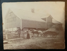 1890s Vintage Farm Photo 6 x 8 Grandma, Grandpa & Sam With Their Dog & Horse picture